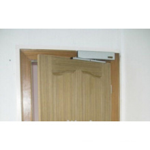 China Factory Automatic Swing Door with Best Price (ANNY 1808A)